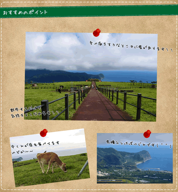 八丈島　ふるさと村