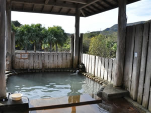 樫立向里温泉　ふれあいの湯