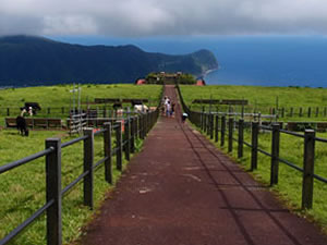 八丈島　ふれあい牧場