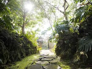 八丈島植物公園