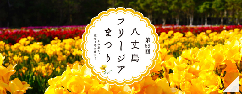 八丈島フリージア祭り