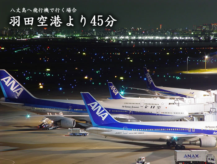 八丈島への飛行機での行き方