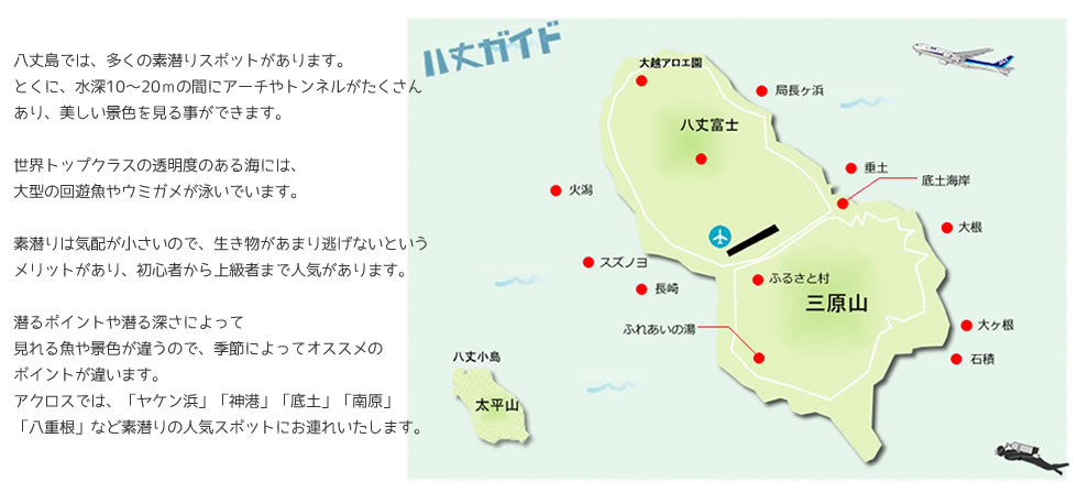 八丈島素潜り